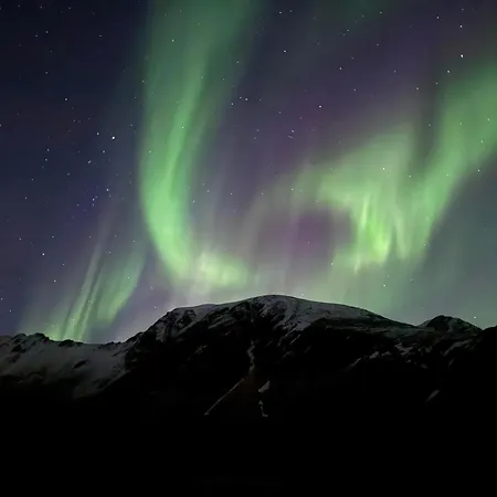 Σαλέ Wildlife Retreat Lofoten *